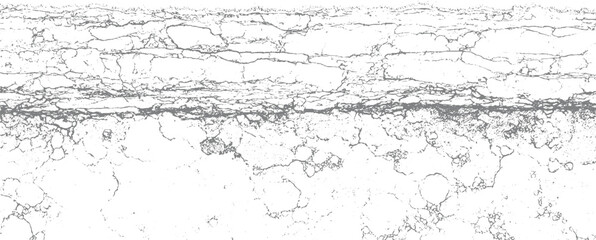 Abstract grayscale cracked texture with organic cellular patterns and fine granular detail background