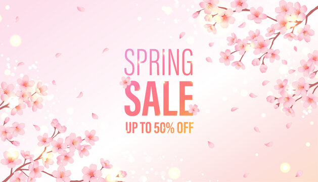Spring Sale banner with cherry blossoms and text up to 50% off. Floral promotion vector illustration.
