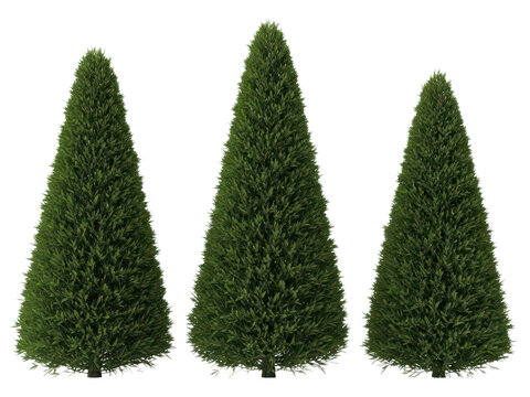 Three artificial christmas trees isolated on transparent background