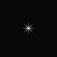 Minimalist star icon in flat design Vector