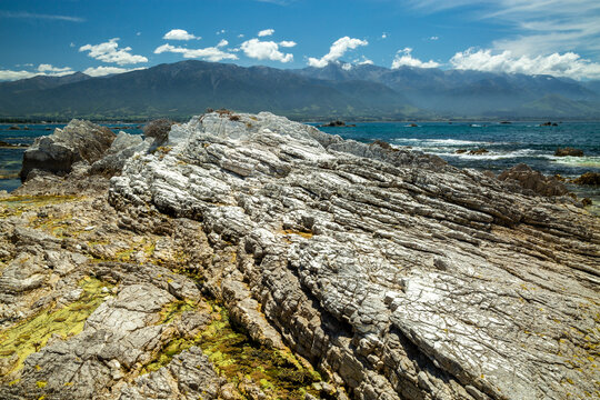 Geological limestone coastal formations with the  Kaikoura Ranges in background