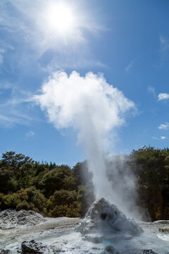 Lady Knox Geyser erupting