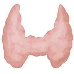 closed up thyroid gland