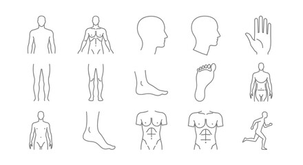 Collection of Medical and Anatomical Illustrations of the Human Body