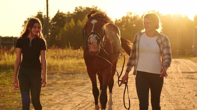 Family time in countryside, sunset ride, mother and daughter leading horse by reins along sun-drenched road. Horseback riding in countryside. Horse care, equestrian sport, riding school