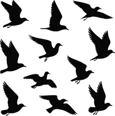 Obraz premium Flying bird silhouette set with soaring gliding wings spread poses, minimalist avian vector icons collection isolated on white background