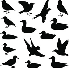 Obraz premium Bird and duck silhouette collection showing flying standing swimming poses, minimalist wildlife vector icons set isolated on white background