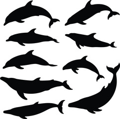 Fototapeta premium Dolphin silhouette set showing swimming diving leaping poses, minimalist marine mammal vector icons collection isolated on white background