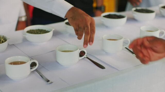 Tea tasting session with cups and loose leaf samples on table