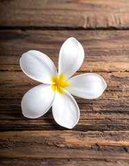Naklejka premium A white flower on a wooden surface
