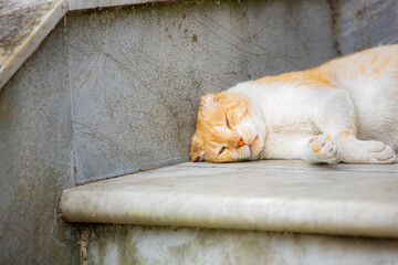 cementerio de recoleta