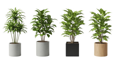 Obraz premium 3d potted plants collection isolated transparent bg, cutout png