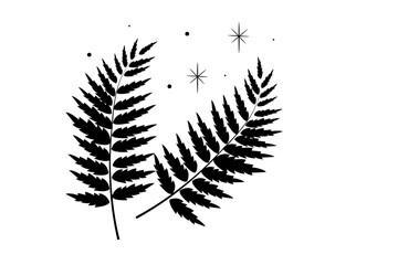 Elegant fern silhouettes with stars