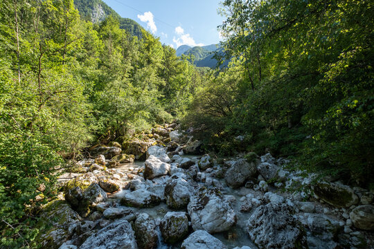 Green Lepena valley in Triglav national park in Slovenia