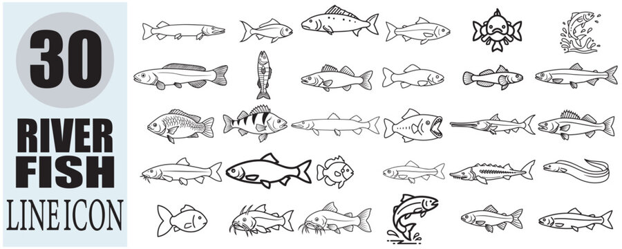  river fish line icon collection on white background