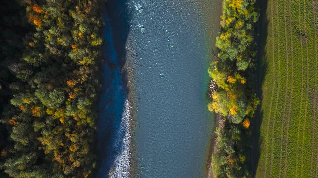 Overhead view of Lech river cutting through autumn forest and open meadows in Lechtal, aerial view