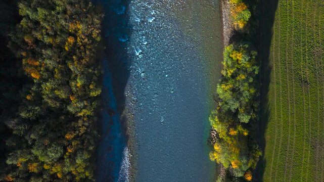 Top down view of the blue Lech river flowing through Lechtal autumn scenery, forests and meadows, aerial
