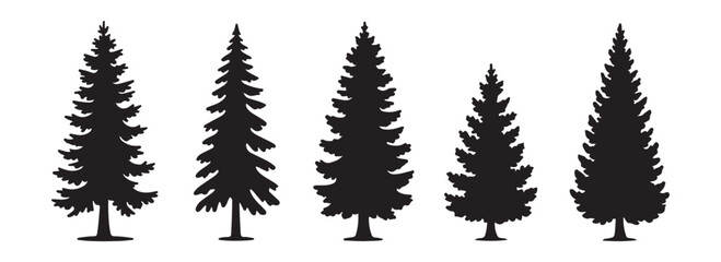 Set of five various black silhouetted evergreen fir trees isolated on white background for design element © Habib Stocker