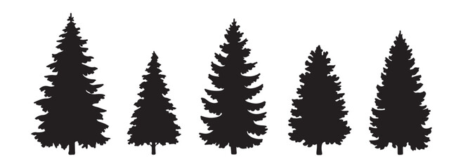 Fototapeta premium Set of five various black silhouetted evergreen fir trees isolated on white background for design element
