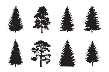 Obraz premium Set of silhouette evergreen trees and pine trees for winter forest natural landscape design elements