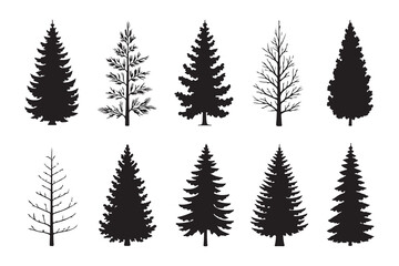 Set of black coniferous tree silhouettes for forest landscape design and natural wood environment decoration © Habib Stocker