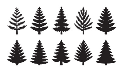 Obraz premium Set of ten different conifer and deciduous tree silhouettes and outlines on white background