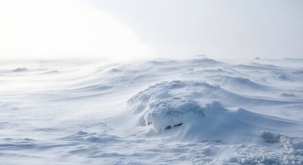 Obraz premium Vast snowy landscape with powerful wind gusts creating a harsh environment, illustrating the severe wind chill factor concept