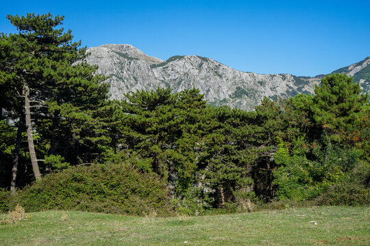 Fort Vrmac near Kotor, Montenegro &ndash; Scenic Mountain Panorama and Elevated Views of the Bay