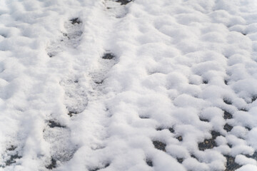Quiet Snowy Ground Background②