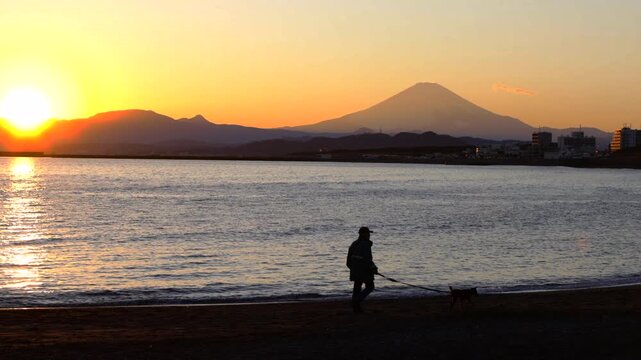 A person walking a dog on Chigasaki beach at sunset with Mount Fuji in the background, cinematic golden hour, Shonan Kanagawa, Japan.