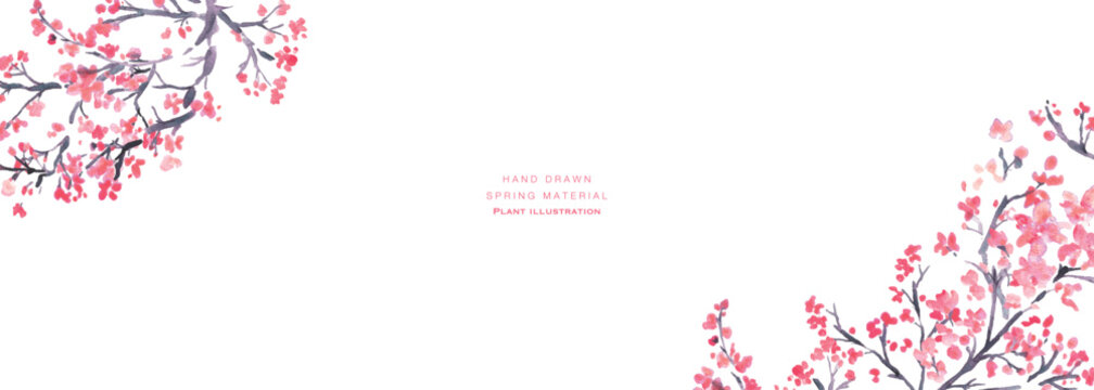 水彩。水彩タッチで描いた日本の桜イラスト。梅の花のベクターイラスト。
Watercolor. Japanese cherry blossom illustration drawn with watercolor touch. Vector illustration of plum blossom.