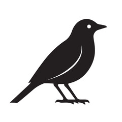 Obraz premium bird illustrator and vector