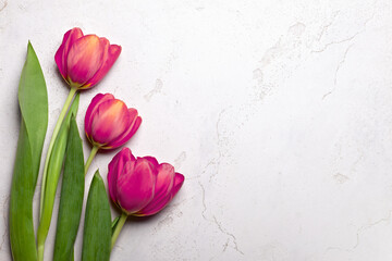 Elegant pink tulips arranged on the left over a light marble surface, leaving space for text or...