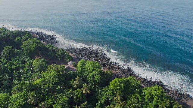 Drone slow tilt down shot revealing a volcanic rock beach with blue ocean waves crashing next to a dense tropical forest with palm trees.