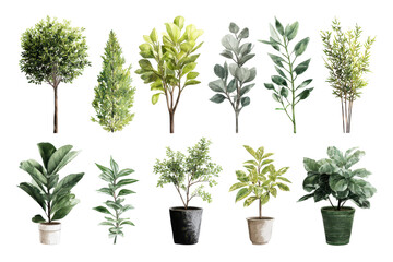 Obraz premium Collection of various green plants and trees isolated on transparent background. Various potted plants and trees in watercolor style isolated on white background.