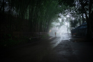 Obraz premium fresh natural aire in the forest temple Wat Pha Lat surrounding hidden in the lush jungle of Chiang Mai in Northern of Thailand
