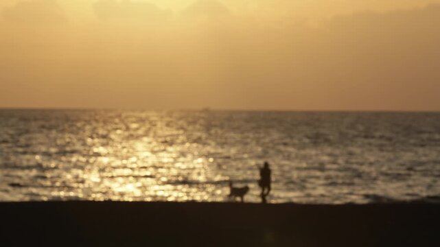 A person walking a dog on Chigasaki beach at sunset, cinematic golden hour light, Shonan coastline lifestyle, Japan.