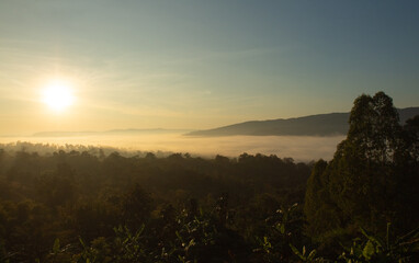 Misty Mountain Sunrise Landscape, Beautiful Golden Morning Fog over Tropical Forest Valley with Sun Rays, Scenic Aerial View of Cloud Forest and Nature Horizon in Thailand.