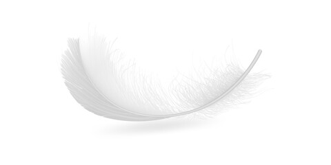 Soft fluffy bird feathers flying and falling gracefully creating light airy illustration ideal for nature themes fantasy art and delicate decorative backgrounds