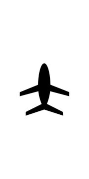 a detailed vector illustration of a biman airline airplane gracefully soaring through the sky with sleek design elements high quality professional