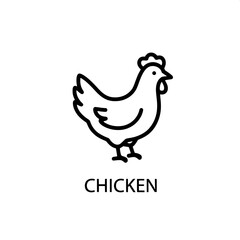Fototapeta premium Vector outline drawing of a domestic chicken, a clear and simple farm bird icon for various graphic design applications