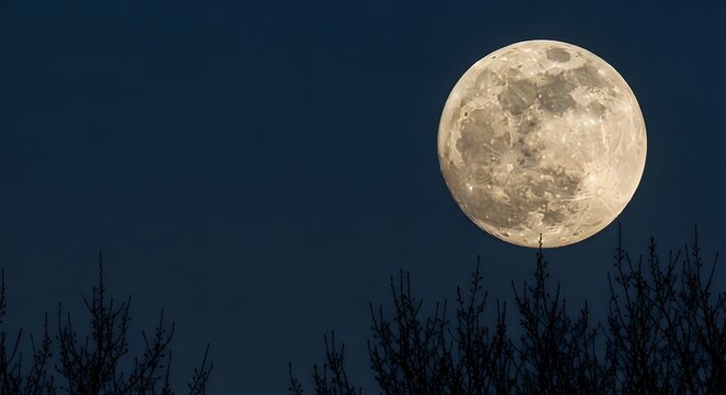 A bright full moon in March rising above silhouetted trees, illustrating the Worm Moon concept in a serene night sky scene