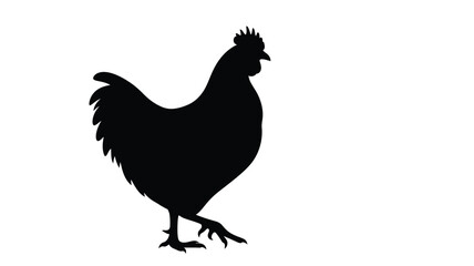 Fototapeta premium a striking black rooster silhouette against a stark white background