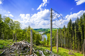 Obraz premium View of the landscape at the Große Dhünn reservoir. Nature in the Bergisches Land region near Wermelskirchen and Bergisch Gladbach. 