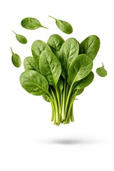 Fresh spinach leaves frozen midair with drifting loose leaves high speed flash ultra sharp texture studio photo isolated on white background