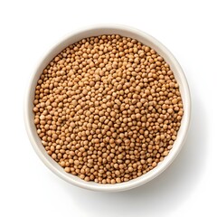 Moth Bean Seeds On A White Solid Background, Close Up Macro Image Of Small Brown Seeds, Representing Organic Legumes, Protein Rich Superfood, Wholesome Nutrition, And Sustainable Plant Based Living