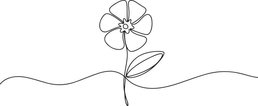 Single one line drawing of beauty fresh catharanthus for garden logo. Decorative periwinkle flower concept for home wall decor art poster print. one line Icon drawing