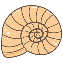 Illustration of a Seashell Spiral