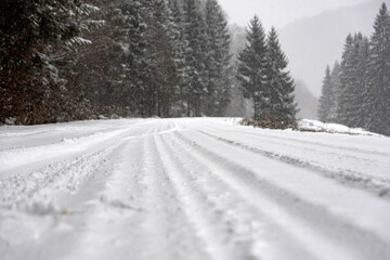 Fototapeta premium A beautiful shot of a road leading through snowy trees
