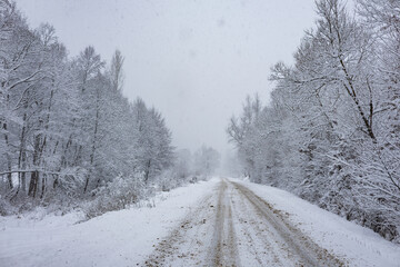 Obraz premium Winter road and snow with landscape of trees with frost